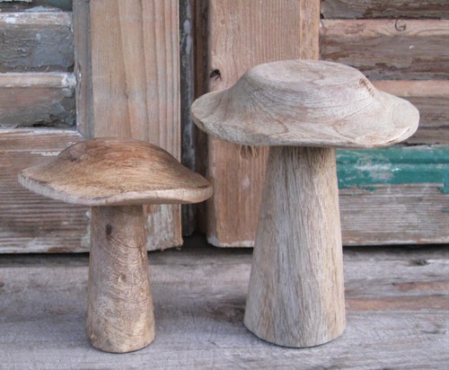 Pilz natur holz - natur, 2