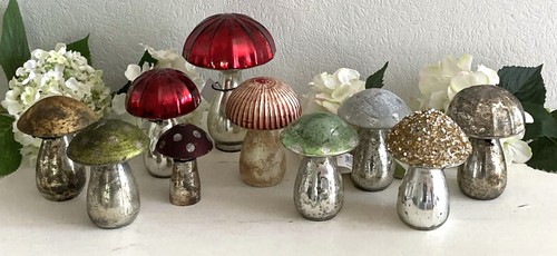 Shabby pilz glas - glas,